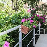Apartment Milka Vodice